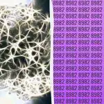 Прост тест за интелигентност: намерете допълнителното число за 9 секунди