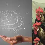 Прост тест за интелигентност: намерете пилето сред петлите за 7 секунди Прост тест за интелигентност: намерете пилето сред петлите за 7