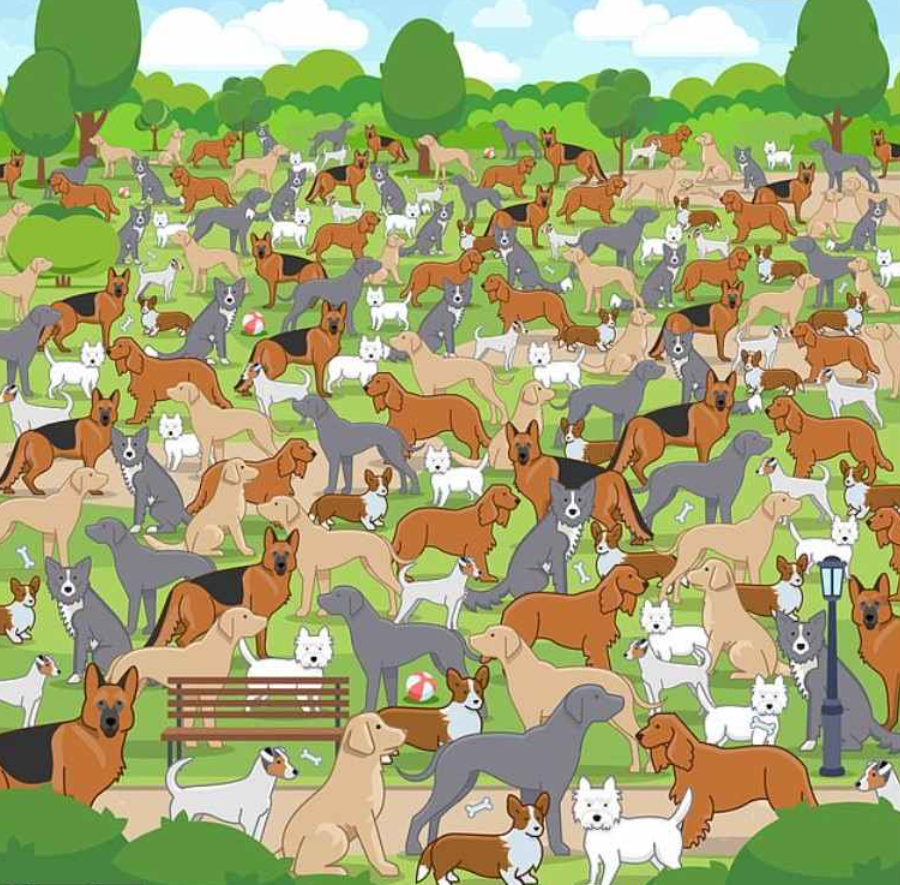 Снимка на Jagranjosh