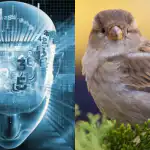 Само хора с фантастичен коефициент на интелигентност ще намерят врабче за 11 секунди: сложна оптична илюзия Само хора с фантастичен коефициент на интелигентност ще намерят врабче