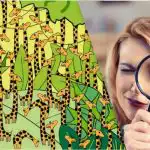 Само хора с висок коефициент на интелигентност ще открият змия