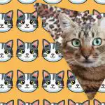 Само хора с висок коефициент на интелигентност ще видят странна