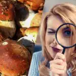 Само хора със свръхмощен коефициент на интелигентност ще видят камък сред гъби за 15 секунди: спираща дъха оптична илюзия Само хора със свръхмощен коефициент на интелигентност ще видят камък