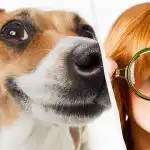 Само истински IQ титан ще види куче в снега за 10 секунди: спираща дъха оптична илюзия Само истински IQ титан ще види куче в снега за