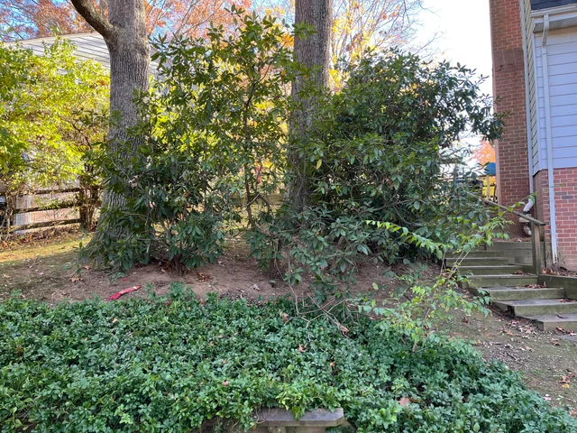 Свръхсложна оптична илюзия: само истински детектив може да намери куче за 10 секунди Свръхсложна оптична илюзия: само истински детектив може да намери куче за 10 секунди