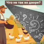 Трябва да откриете голяма грешка в селския двор за 5