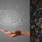 Всички виждат конуси, но трябва да намерите таралеж за 7