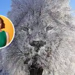 "Затворен" или "общителен" човек: какво може да каже за вас