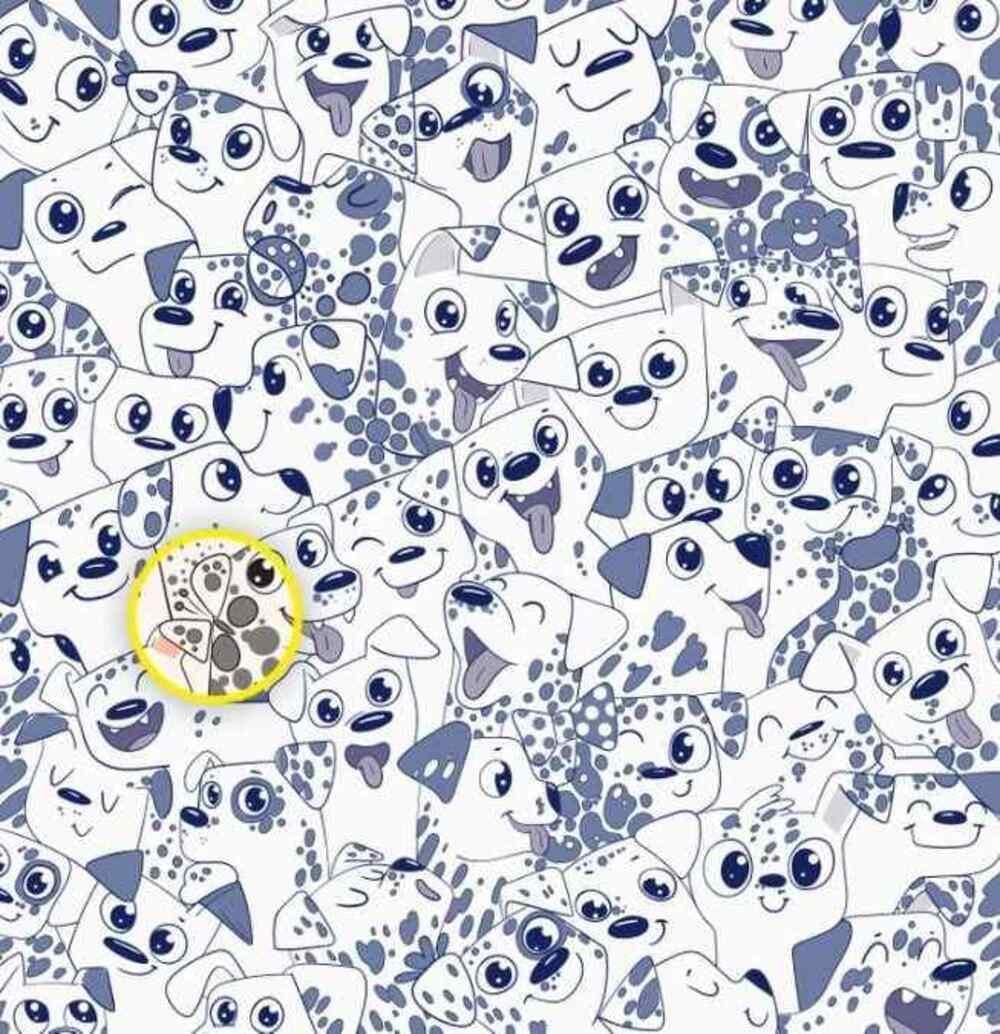 Пеперудата е от дясната страна / Рисунка на Брайтсайд