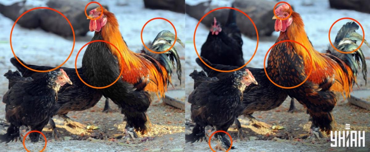 Беше необходимо да се обърне внимание на малките детайли / колаж УНИАН