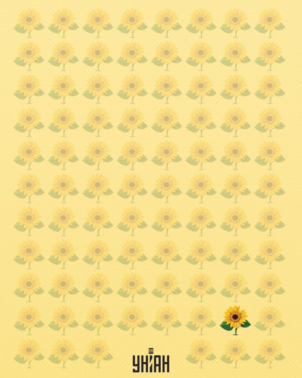 Слънчогледът, на който липсваше едно листенце, беше наречен странен / колаж Moje