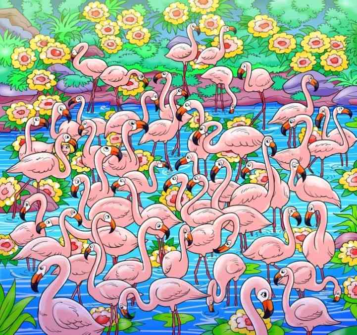 Загадка Загадка