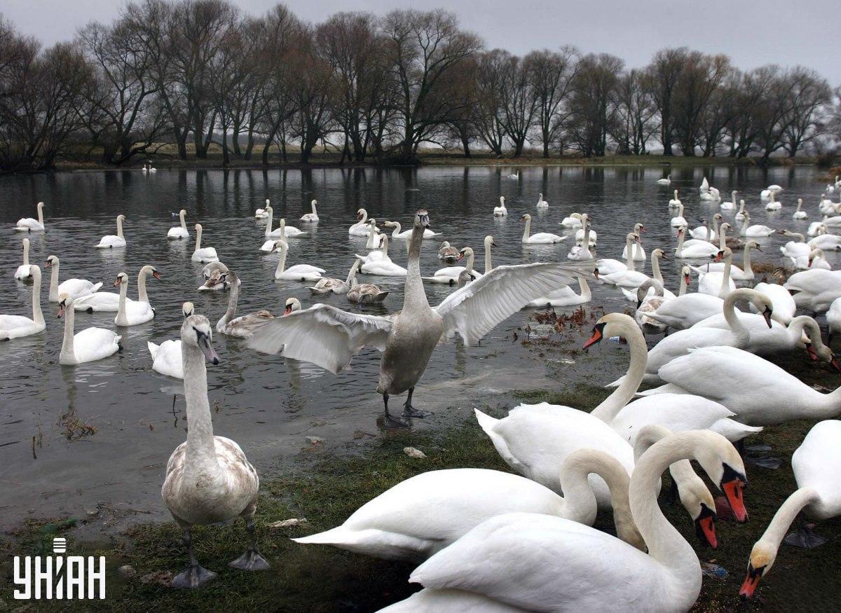 Тя може да е във всяка част на изображението / Moje Collage
