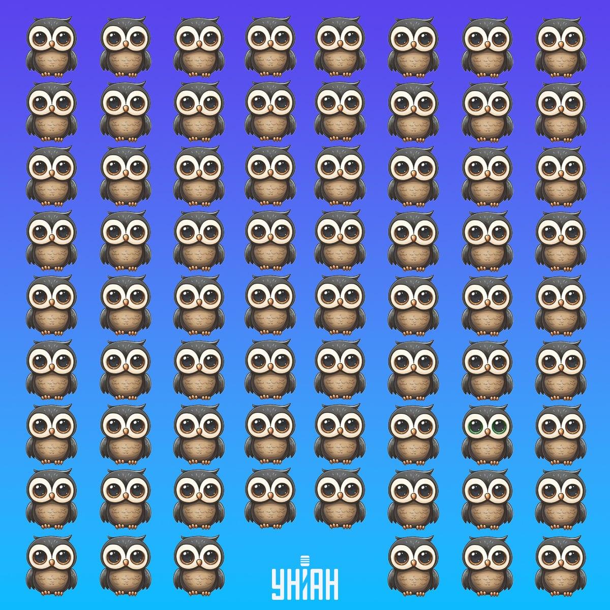 Откриване на рядка птица във времето / колаж Moje