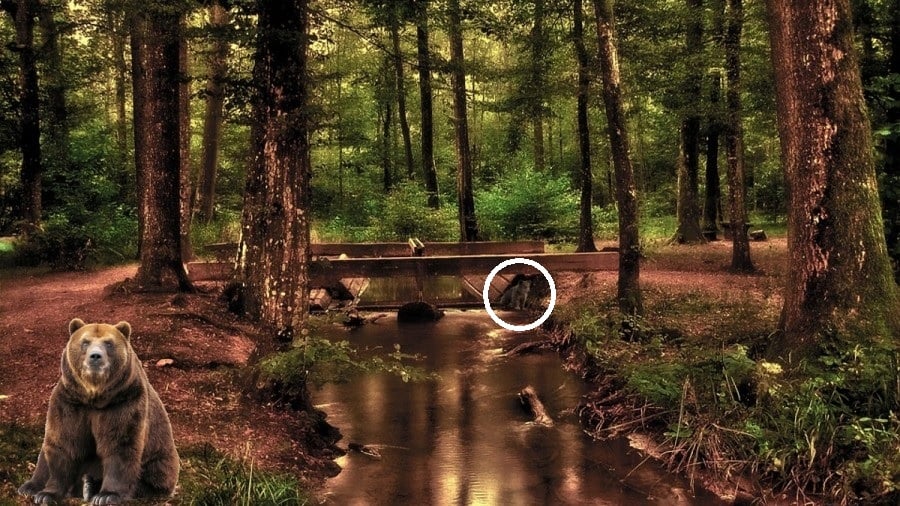 Оптична илюзия Оптична илюзия