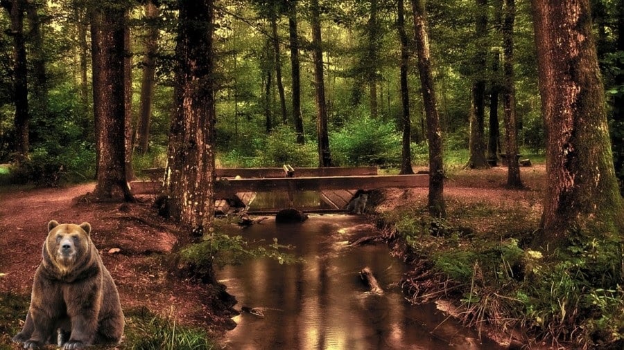 Оптична илюзия Оптична илюзия