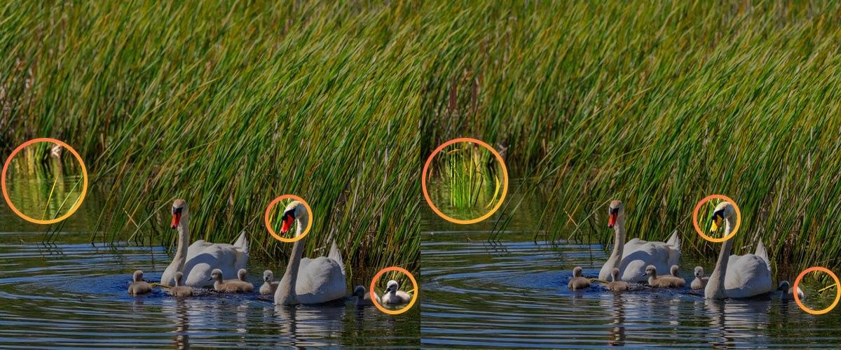 За да се справим с пъзела, беше необходимо да обърнем внимание на малките детайли / колаж УНИАН