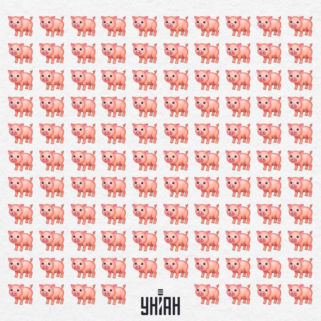 Нашето прасе е някъде там, няма да ни хване окото толкова лесно / Moje Collage