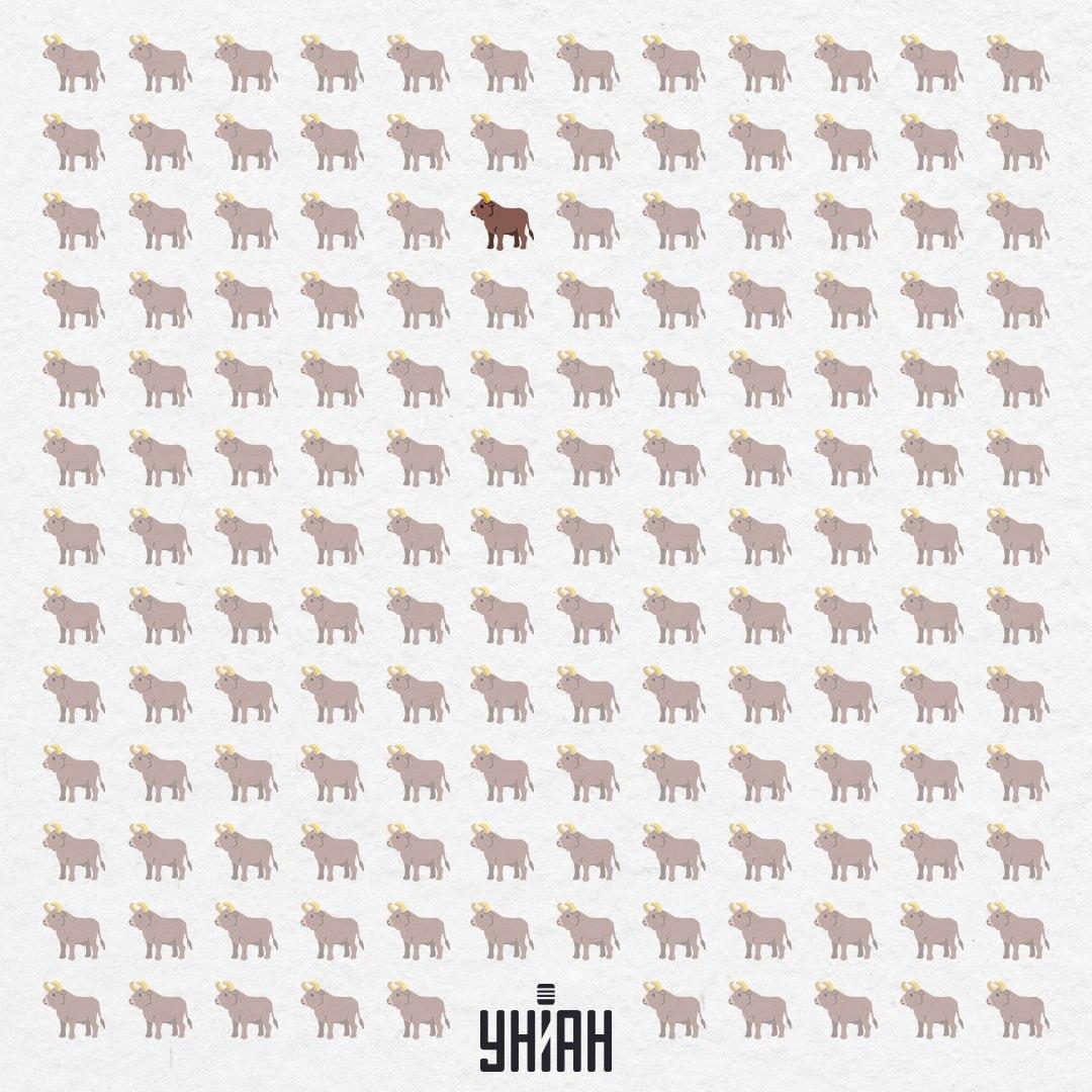 Той се криеше в центъра, почти отгоре / Moje Collage