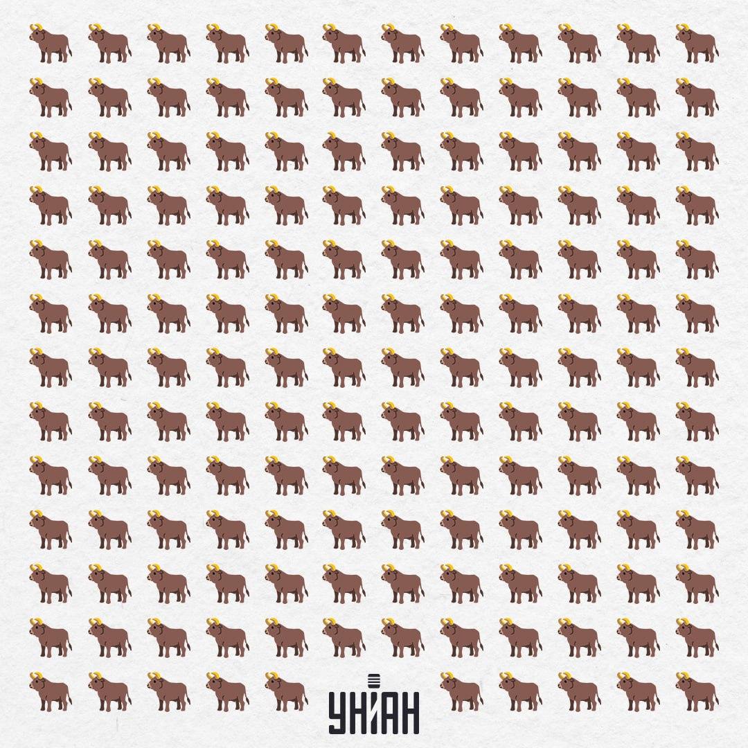 Тук има 154 такива, но един не е такъв - трябва да го видите след 10 секунди / Moje Collage