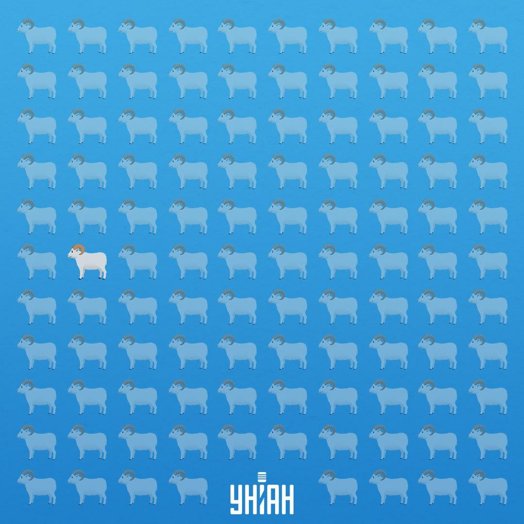 Бил е на седмия ред от лявата страна / Колаж УНИАН