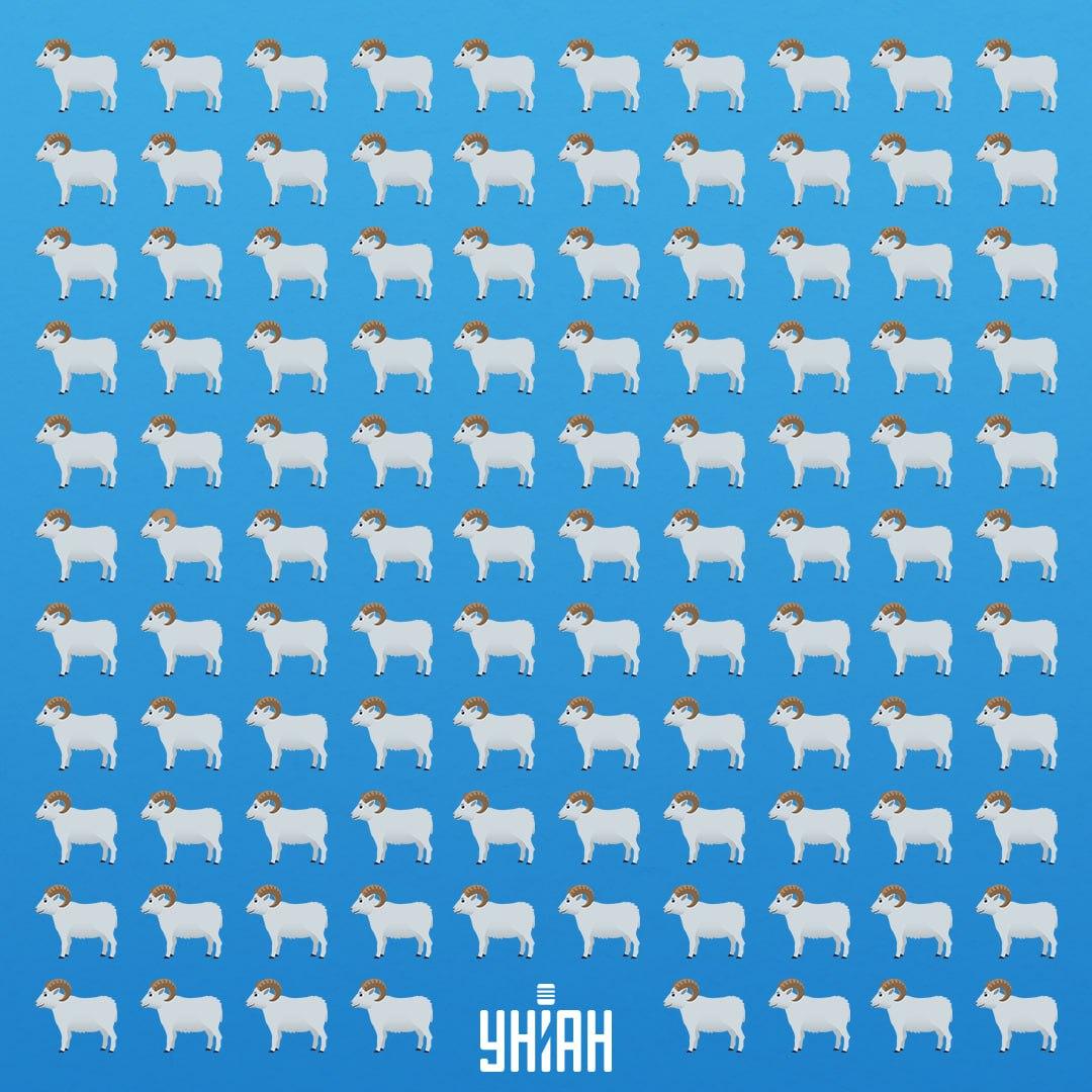 Има 7 секунди, за да видите хитрото животно / Moje Collage