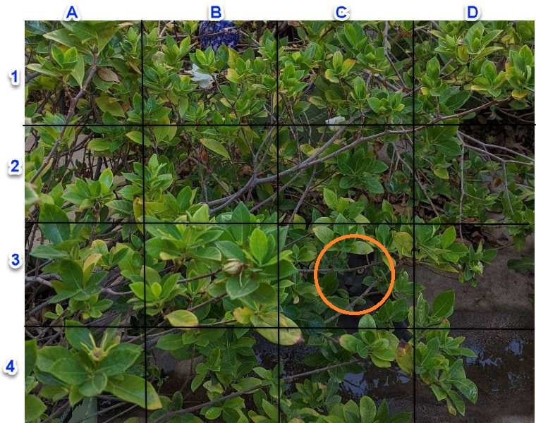 Енигма Решение: Котката в долния десен ъгъл