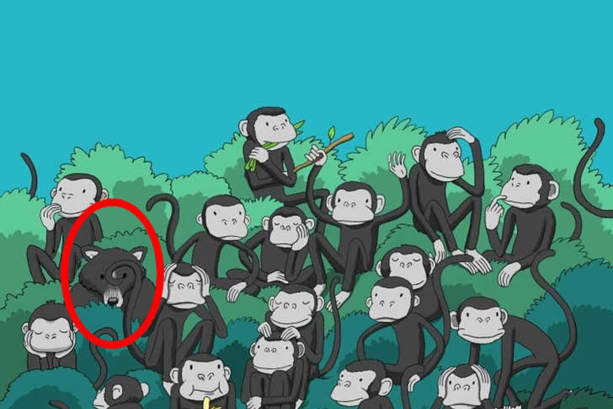 Опитайте се да решите пъзела за секунди / Bright Side drawing