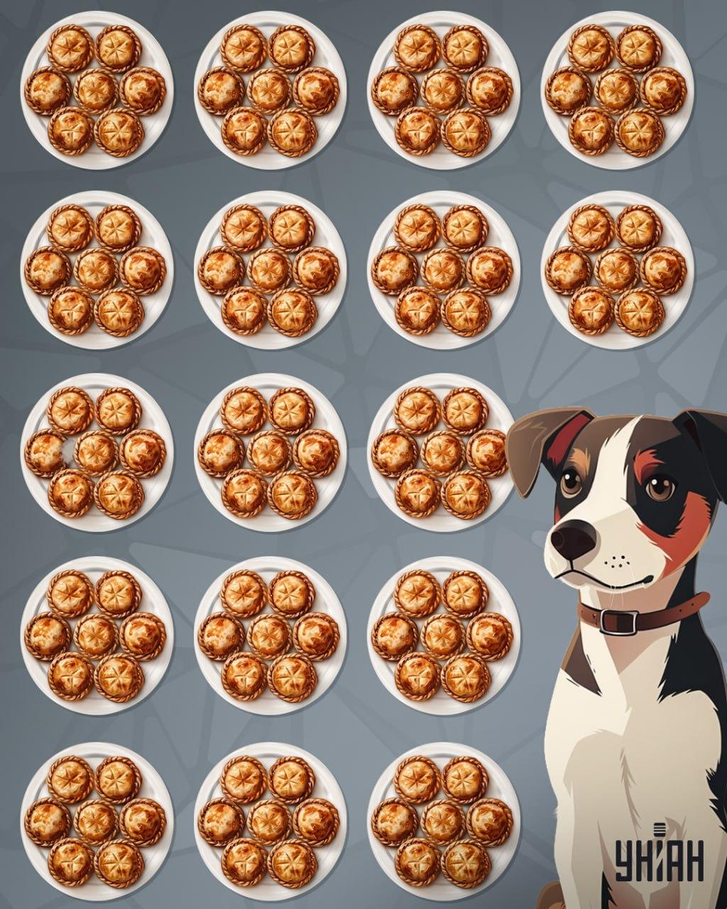 Открийте пая, който се различава от останалите / колаж Moje