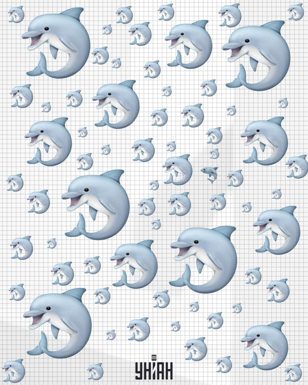 Отнема по-малко от 10 секунди, за да откриете акула / колаж на УНИАН