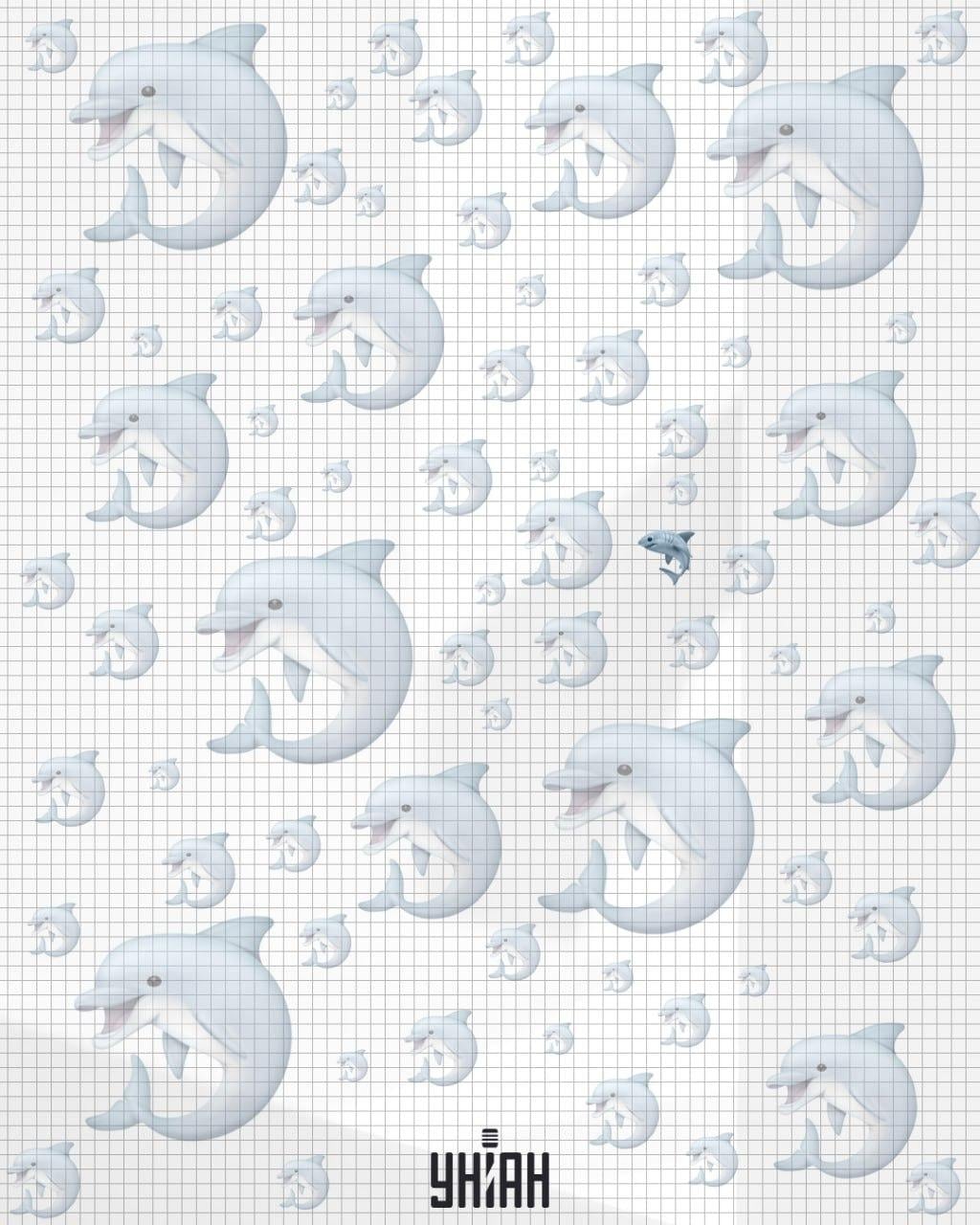 Акулата е близо до центъра на изображението / колаж на УНИАН