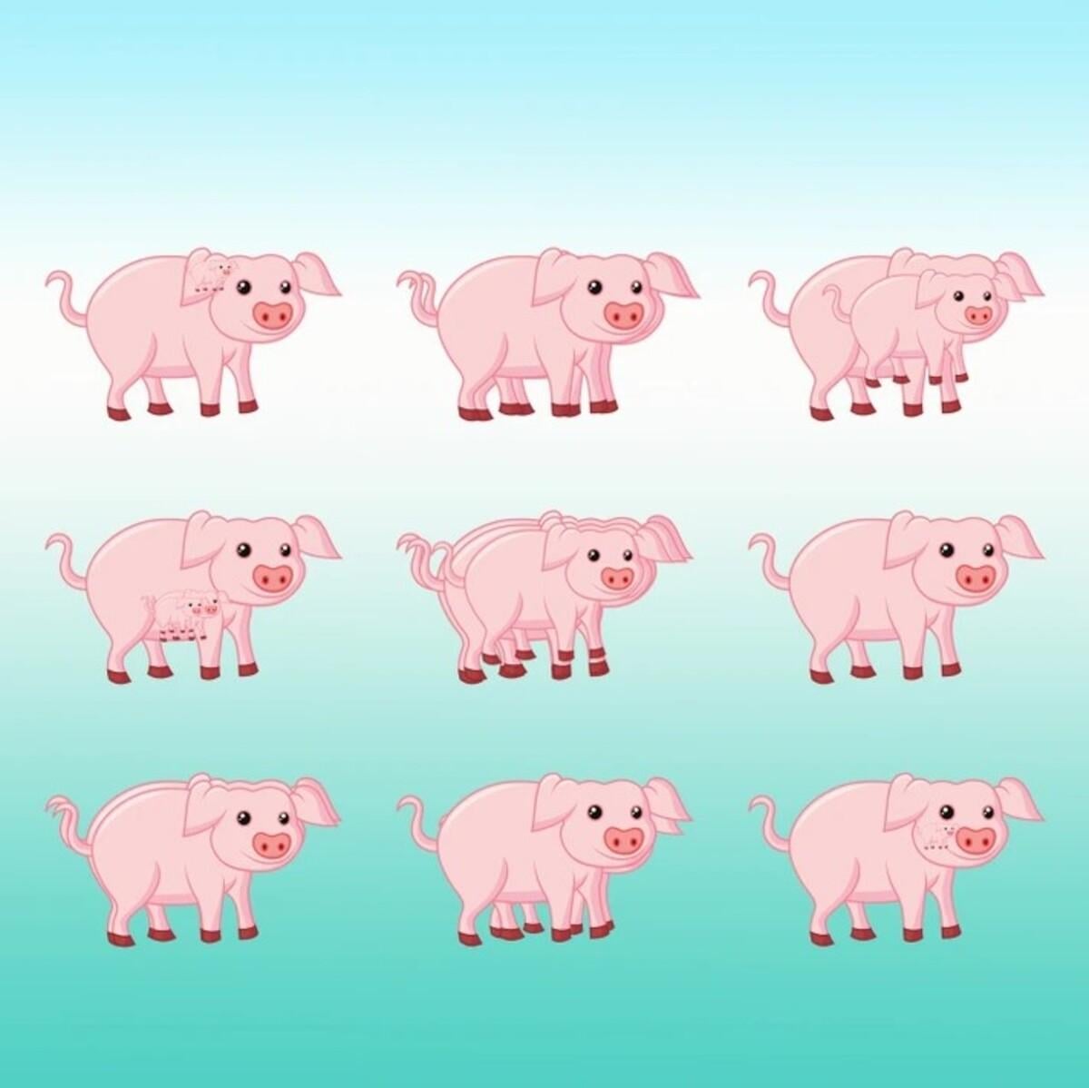 Ако редите пъзела бързо, имате висок коефициент на интелигентност / Bright Side drawing