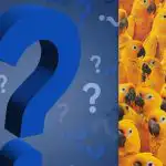 Открийте пиле сред десетки папагали за 9 секунди: пъзел с