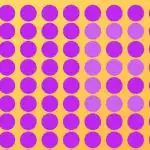 Пъзел за хора с отлично зрение: намерете буквата Е за