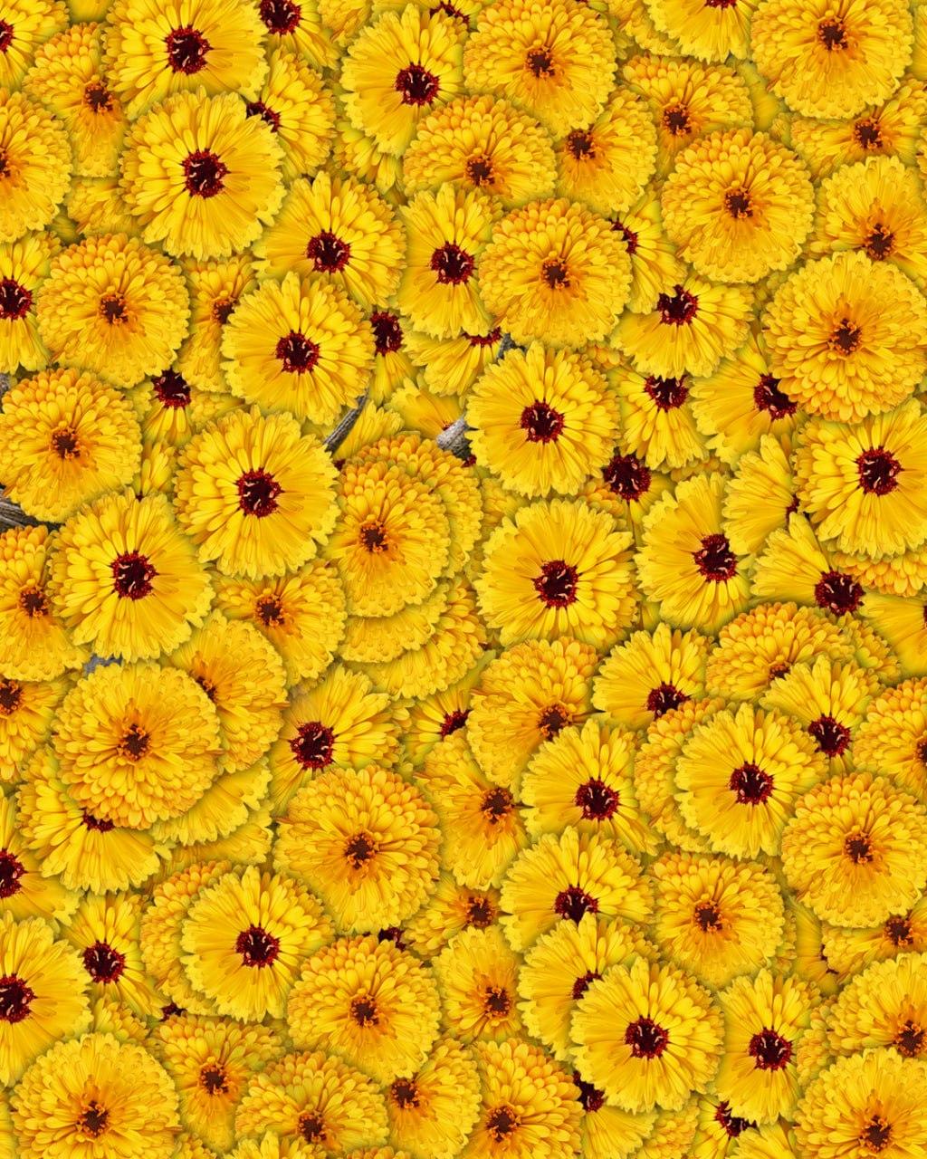 Само 1 от 10 души ще открие елена на снимка за 7 секунди: много сложна оптична илюзия