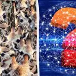 Всички виждат жирафи, но вие трябва да откриете неопитомена коза за 8 секунди: не е лесен пъзел за решаване Всички виждат жирафи, но вие трябва да откриете неопитомена коза