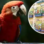 Забавна илюзия за гении: само малцина могат да намерят папагал